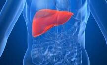 কিডনির একাংশ দান করে একে অপরের স্বামীর প্রাণ বাঁচালেন দিল্লির দুই মহিলা