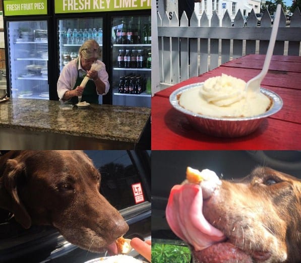 ভ্রমণ শুরু হয়েছিল শিকাগো থেকে। তা এখনও চলছে