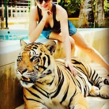 থাইল্যান্ডে বাঘের পিঠে সুস্মিতা!