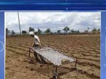 মাটি খুঁড়ে হরাপ্পা সভ্যতার প্রত্ন সামগ্রী পাওয়ার পর গুপ্তধন খোঁজার ধূম