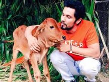 ১৫ দিন বয়সি বাছুর বিক্রি আছে, কিনবেন? ফেসবুকে বিজ্ঞাপন দিলেন রণদীপ হুডা