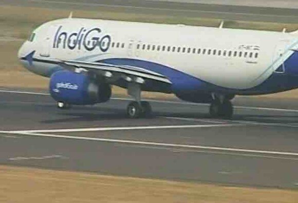 Close shave for IndiGo passengers as wild boar strays on runway ওড়ার মুহূর্তে বিমানে ধাক্কা রানওয়েতে ঢোকা বুনো শুয়োরের, বাঁচলেন ১৬০ যাত্রী