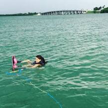 মানবতার বার্তা ছড়িয়ে দিতে তিমি-হাঙরের সঙ্গে জলকেলি জ্যাকলিনের!