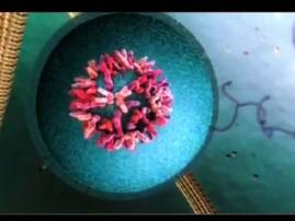 চরিত্র পাল্টে আরও মারাত্মক ডেঙ্গি, ৩ দিনে চার জনের মৃত্যু