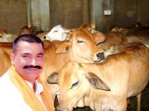 গো রক্ষা দলের প্রধানের বিরুদ্ধে অভিযোগ দায়ের, নিশানা করলেন মোদীকে
