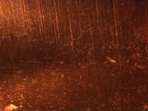 প্রবল বর্ষণের পর কলকাতার ‘জলছবি’