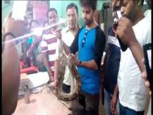 শিয়ালদা স্টেশনে ট্রেনে সিটের নিচে মিলল বিরল প্রজাতির সাপ