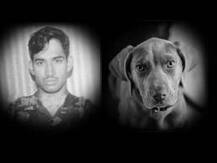 কাশ্মীরে অনুপ্রবেশ রুখে মরণোত্তর সম্মান পেল ‘মানসি’, তার হ্যান্ডলার