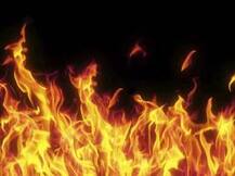 স্কুলের ফি দিতে নারাজ বাবা, আত্মঘাতী দ্বাদশ শ্রেণীর ছাত্রী