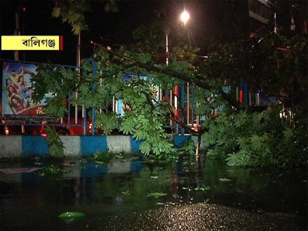 শহরের ৪০টি জায়গায় ভেঙে পড়ল গাছ, গাছ ভেঙে আংশিকভাবে বন্ধ বিভিন্ন রাস্তা