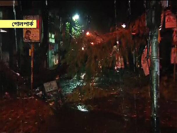 যাদবপুরে গাছ ভেঙে পথচারীর মৃত্যু গাছ ভেঙে মৃত্যুর ঘটনা বেলেঘাটাতেও