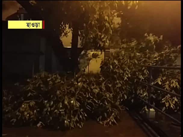 এজেসি বোস রোড, আমির আলি অ্যাভেনিউ, বেলেঘাটা মেইন রোডেও ভেঙে পড়ল গাছ