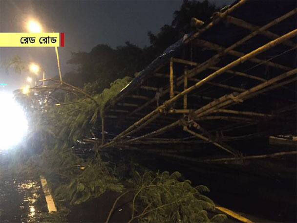 রবীন্দ্র সরণি, সাদার্ন অ্যাভেনিউয়ে ভেঙেছে গাছ, সোনারপুরে ওভারহেড তারে ভেঙে পড়ল গাছ