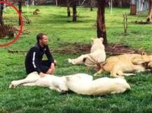 ভিডিওতে দেখুন: চিতার আক্রমণ থেকে এক ব্যক্তিকে বাঁচাল বাঘ