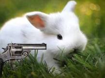 খরগোশ ভেবে গুলি, চিনে মৃত্যু নাবালিকার