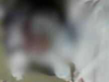 বিয়েতে নারাজ, তরুণীর গায়ে কেরোসিন ঢেলে আগুন লাগানোর অভিযোগে গ্রেফতার ৩