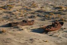 নাসার ক্যমেরায় অরল সাগর