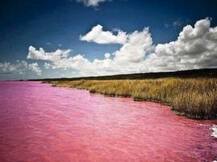 নীল নয়, গোলাপী লেক-এর কথা শুনেছেন? সত্যিই অস্তিত্ব আছে এই হ্রদের