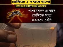 ডেঙ্গিতে ‘প্রথম’ বাংলা, বলছে কেন্দ্রীয় রিপোর্ট