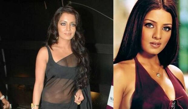 দুবাইয়ের হোটেল ব্যবসায়ী পিটার হাগের সঙ্গে বেশ কয়েকবছর প্রেমপর্ব চলার পরে সেলিনার সঙ্গে তাঁর বিয়ে হয় ২০১১-র জুলাইয়ে। পরের মার্চেই যমজ সন্তানের মা হন সেলিনা। 