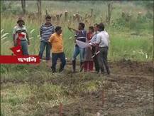 সিঙ্গুরে ফের শিল্প-সম্ভাবনা? জল্পনা বাড়িয়ে এখনই ভাঙা হচ্ছে না কারখানার শেড