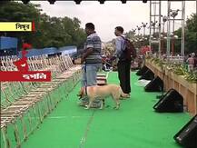 ছবিতে দেখুন সিঙ্গুর দিবস উদযাপনের খণ্ডচিত্র...