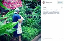 দেখুন: ইনস্টাগ্রামের নতুনতম সেলিব্রিটি মিশা, শাহিদ আর মীরার মেয়ে!