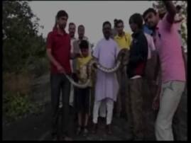 Watch Python Attacks Man Who Was Trying To Click Selfie With It ভিডিওতে দেখুন: সেলফি তুলতে গিয়ে অজগরের কামড়ে জখম যুবক