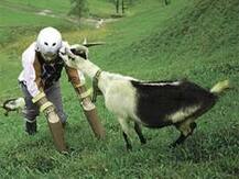 \'মানুষ-ছাগল\'কে কৌতুক নোবেল পুরস্কার