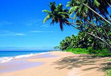 মানসিক শান্তি চাইলে ভারতের এই জায়গাগুলিতে যেতে হবে