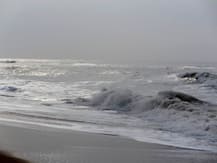 পুরীতে অতিথিনিবাস তৈরির জন্য অন্য রাজ্যগুলিকে জমি দেবে ওডিশা সরকার