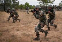 খতম ২০ জঙ্গি, সার্জিক্যাল স্ট্রাইকে সবচেয়ে বেশি ক্ষতি লস্করের, জানাল সেনার ফিল্ড ইউনিটগুলি