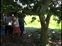 কিশোরীকে \'ধর্ষণ-খুন\', গ্রেফতার সহপাঠী