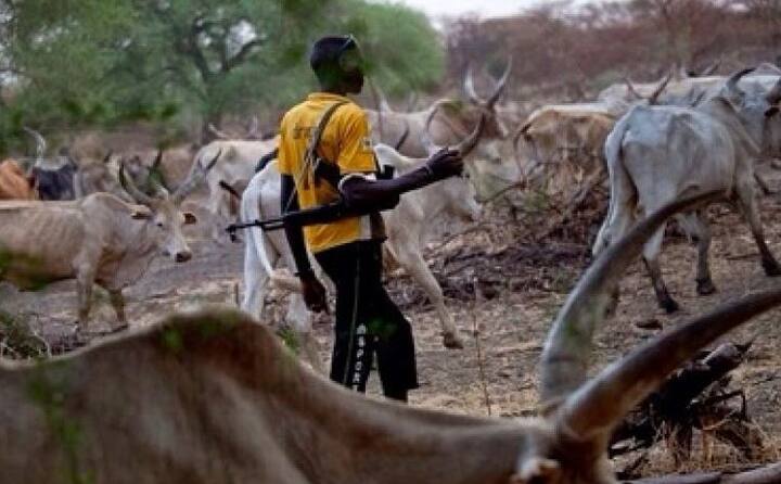 নাইজেরিয়ার জঙ্গি সংগঠন ফুলানি বিশ্বের চতুর্থ ভয়ঙ্কর হিসেবে চিহ্নিত
