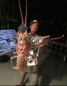 বারমুডায় বিশাল আকৃতির চিংড়ির সন্ধান পেলেন এক মৎসজীবী