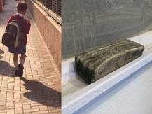 শিক্ষিকা মারলেন চড়, ডাস্টার ছোঁড়ার মিথ্যা অভিযোগ ছাত্রের বাবার