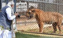 ফটোগ্রাফার মোদী