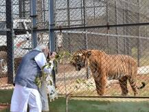 ফটোগ্রাফার মোদী