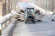  ছবিতে দেখুন: রাস্তাঘাট পরিষ্কার রাখতে নতুন কী উপায় ভেবেছে চিন... 