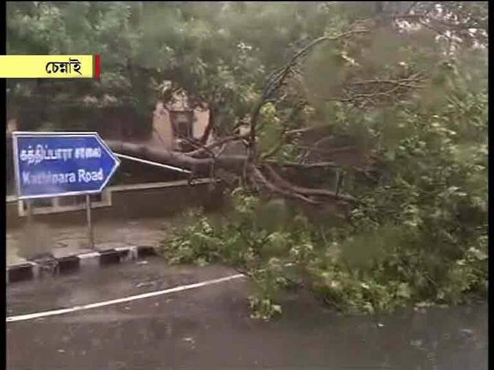 গাছভেঙে বন্ধ হয়ে গেছে রাস্তা
