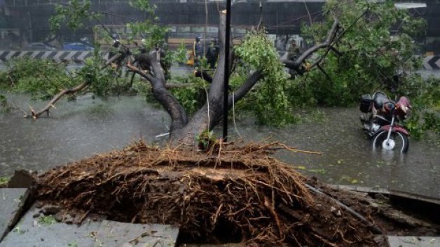 Cyclone Vardah Damages Chennai Cricket Ground But Pitch Safe Tnca Secretary সাইক্লোনে মাঠের ক্ষতি হলেও পিচ ঠিক আছে, জানালেন তামিলনাড়ু ক্রিকেট সংস্থার সচিব