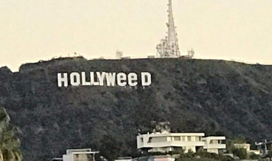 Famous Hollywood Sign Changed In New Year Prank In La উড থেকে উইড- নববর্ষে গাঁজার ধোঁয়ায় আচ্ছন্ন হলিউড