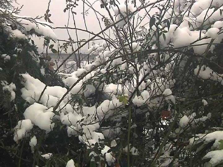 বৃষ্টি ও তুষারপাত হওয়ায় খুশির হাওয়া স্থানীয় কৃষকমহলে। কারণ, এর ফলে রবি চাষ ভাল হওয়ার সম্ভাবনা। পাশাপাশি, আপেল চাষেও ভাল ফলনের আশায় ব্যবসায়ীরা।