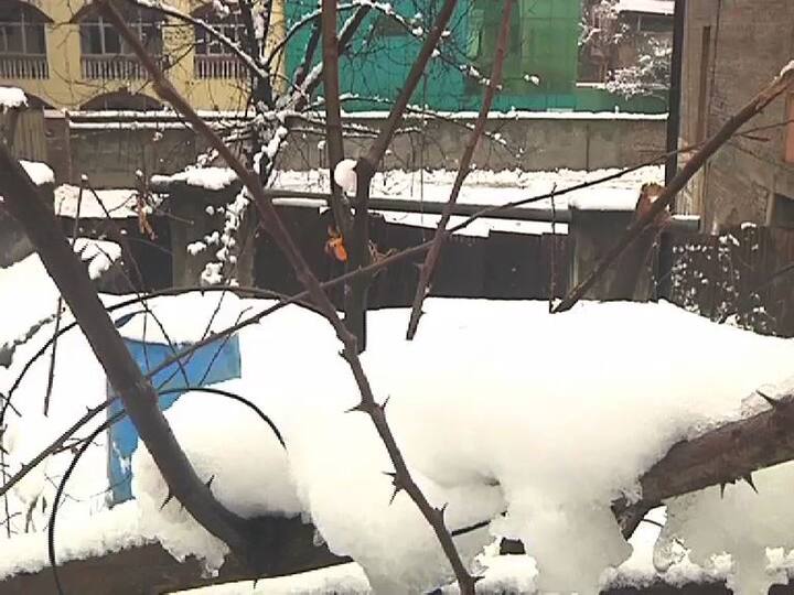 গুলমার্গের তাপমাত্রা সবচেয়ে কম। এখানে সর্বনিম্ন তাপমাত্রা মাইনাস ৮.৪ ডিগ্রি ছুঁয়েছে।