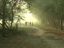 দক্ষিণবঙ্গের চার জেলায় শৈত্যপ্রবাহের সতর্কতা, শহরেও অব্যাহত শীতের দাপট