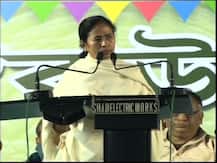 ‘মোদীর ক্রিমিনাল ব্রেন, আমেরিকা ব্ল্যাক লিস্টেড করেছিল’ ফের তোপ মমতার