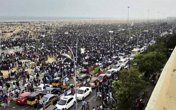 Jallikattu Row Police Start Evicting Protesters From Marina Beach জাল্লিকাট্টু: মেরিনা বিচ থেকে আন্দোলনকারীদের সরিয়ে দিচ্ছে পুলিশ