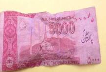 হরিয়ানায় খেতে মিলল বেলুন ও পাকিস্তানি নোট, এলাকায় চাঞ্চল্য