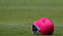 দেখুন, মৌমাছির আক্রমণে বন্ধ দক্ষিণ আফ্রিকা-শ্রীলঙ্কা ম্যাচ