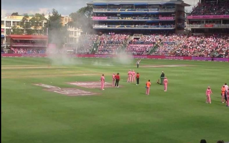 দেখুন, মৌমাছির আক্রমণে বন্ধ দক্ষিণ আফ্রিকা-শ্রীলঙ্কা ম্যাচ